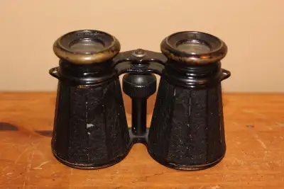 Hi. I have a vintage small pair of binoculars/opera glasses for sale. The glasses show some wear and...