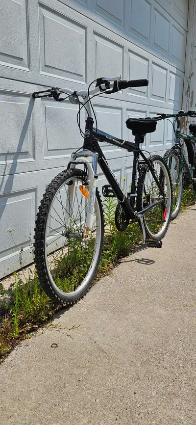 Black & White and Green Bicycles, View more