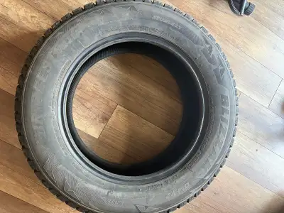 winter tires Bridgestones 225/65R17 Use in Toyota RAV4