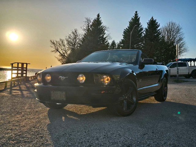 Mustang gt  in Cars & Trucks in Owen Sound - Image 4