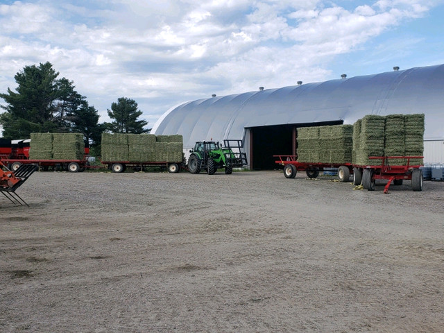 Hay and Straw Sales in Livestock in North Bay