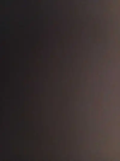 Experienced Personal Support Worker(PSW) Available, View more