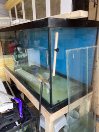 220 gallon aquarium  with stand and overhead filter