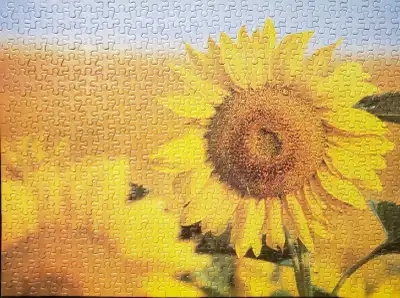 Do you have a puzzle sitting half-finished on your table collecting dust? Or a brand new puzzle you’...