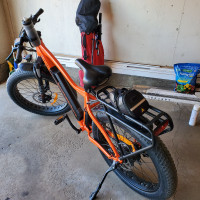 ELECTRIC FAT BIKE FOR SALE