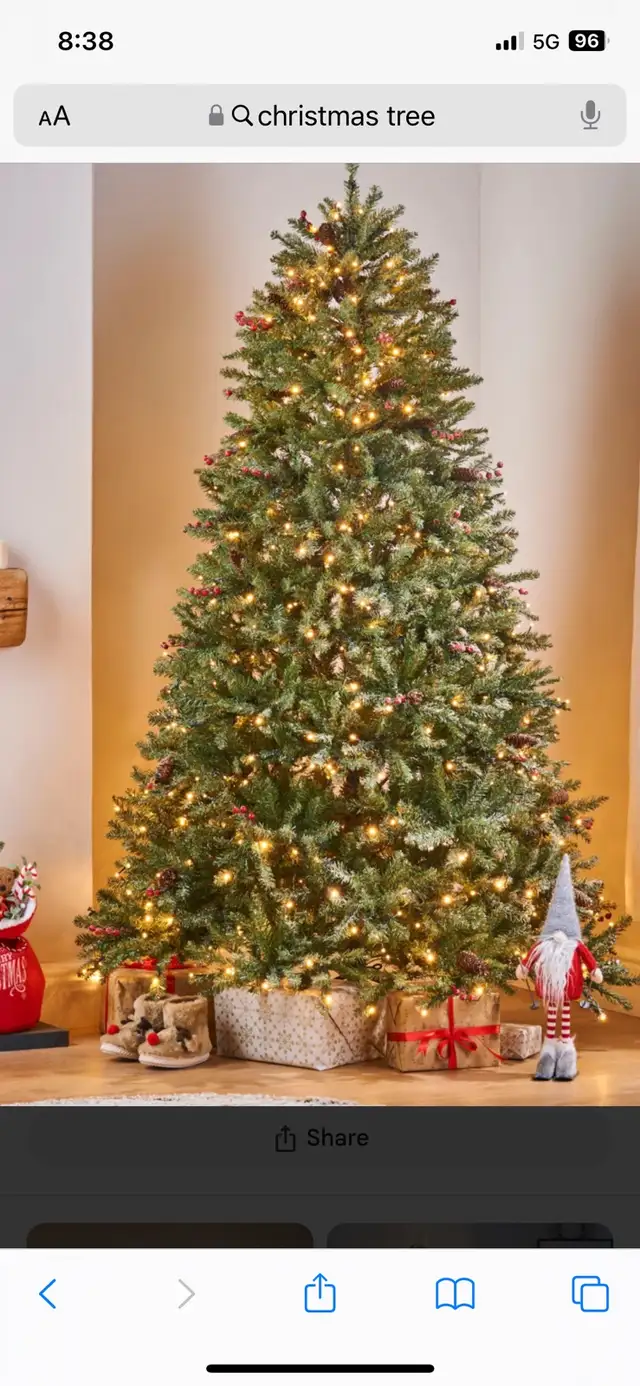 Christmas Tree Disposal 64959976488579120