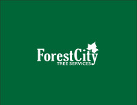 FOREST CITY TREE SERVICES - 20% OFF WINTER SALE