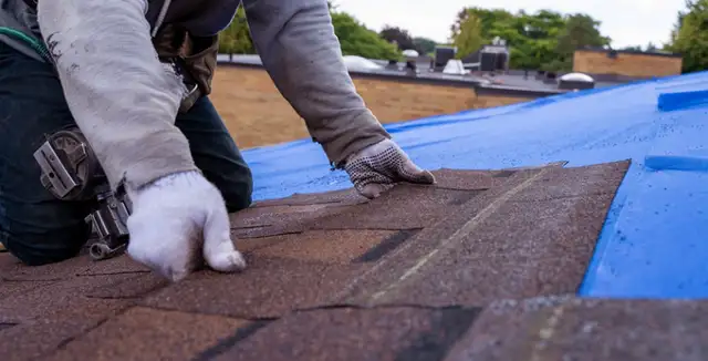 Roof Care - Winnipeg & Rural Service62863249205250124