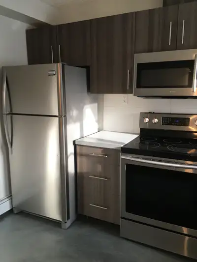 Newly renovated and soundproofed Bachelor suite in Winston Heights with everything included (electri...