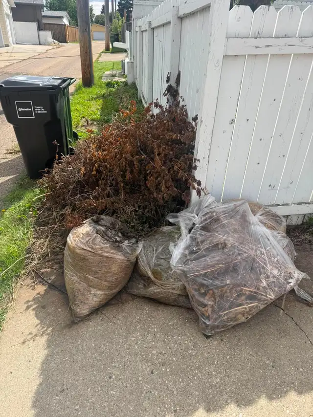 Junk Removal 
