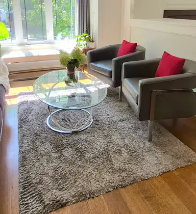 Grey Shag Rug, View more