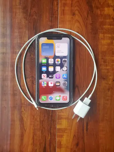 Mint Iphone 11 Pro Max -- can Deliver , View more