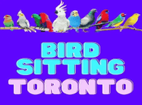 PARROT NAIL/WING CLIPPING AND BIRD SITTING - IN MISSISSAUGA!