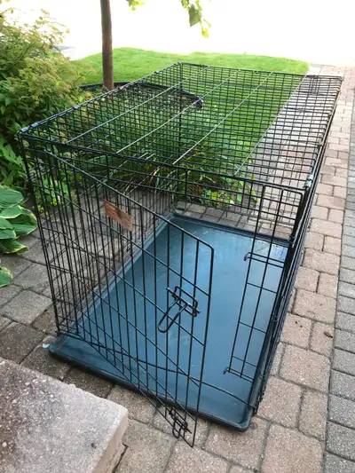 42" Large Mid West i Crate Folding Metal Dog Crate, View more