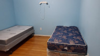 One Bedroom to Share (separate beds) with a Female Tenant