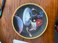 Star Trek Collectors Plate