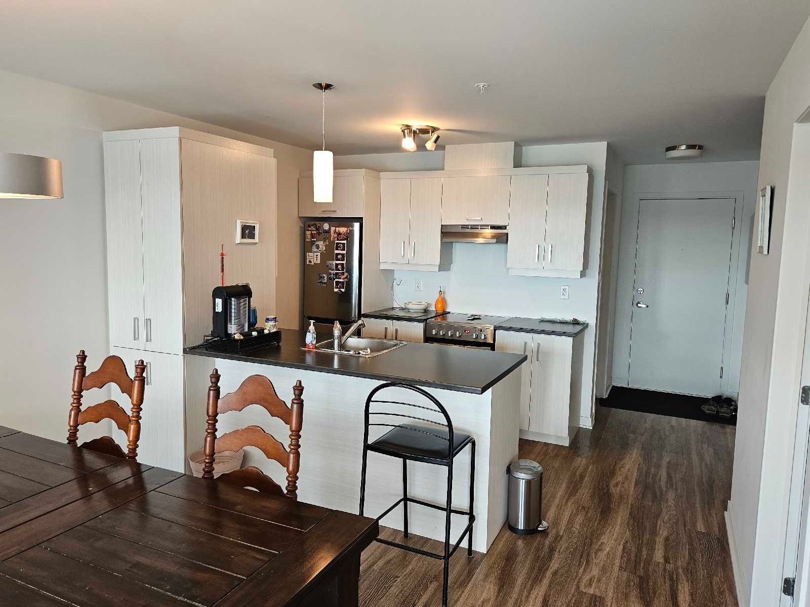 173 Blvd. Armand-Frappier — photo 3