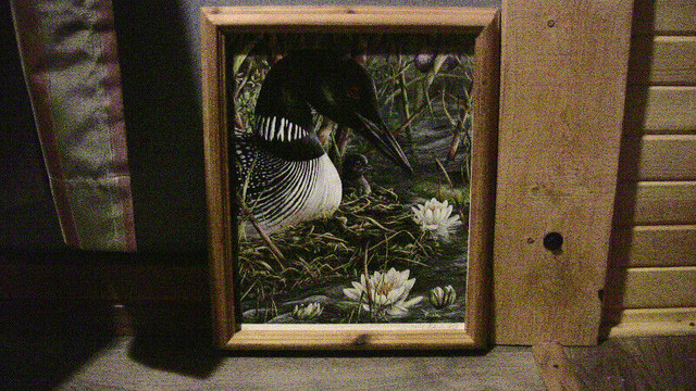FOR SALE VERY NICE NATURE PICTURE (LOON PRINT) in Home Décor & Accents in Belleville