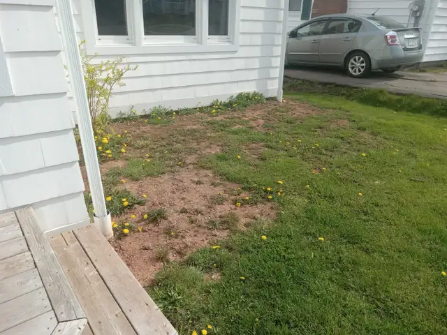 Landscaping&Spring cleanups in Lawn, Tree Maintenance & Eavestrough in Charlottetown - Image 4