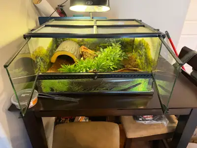 Terrarium exo terra , View more