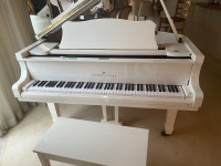 Perfect Ivory Young Chang Baby Grand