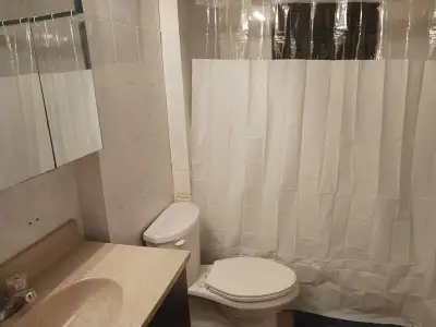 Appartement 3 1/2 à louer