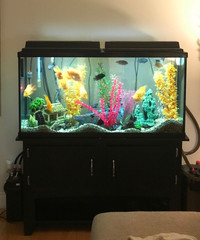 75 Gallon Aquarium with Stand 