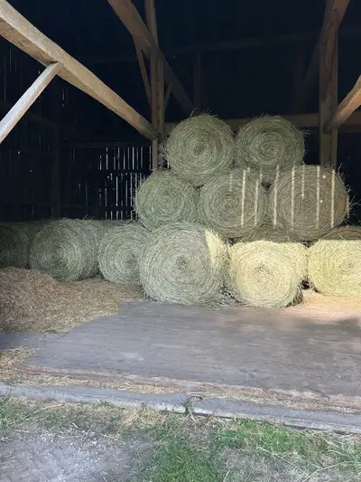 2nd Cut Hay For Sale, View more