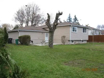 Big Beautiful Detached Raised Bunglow with Four bedroom and two Full bathroom's for rent in Bolton,...