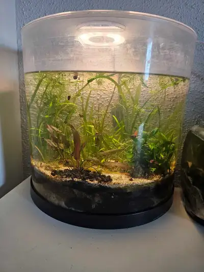 Natural Aquarium, View more
