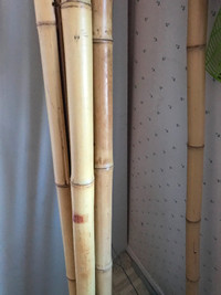 8 pieces of Bamboo