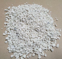 Crushed Oyster Shells for Egg-Laying Hens - For Chicken Feed