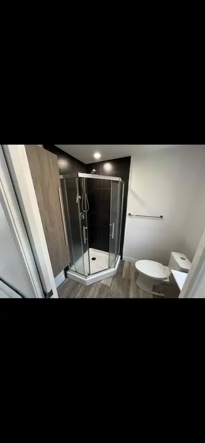 Appartement 4 1/2 à louer