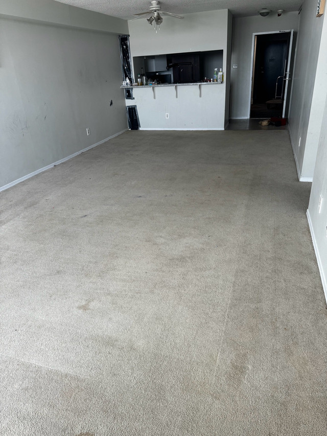 CARPET INSTALLATIONS  in Rugs, Carpets & Runners in Ottawa - Image 4