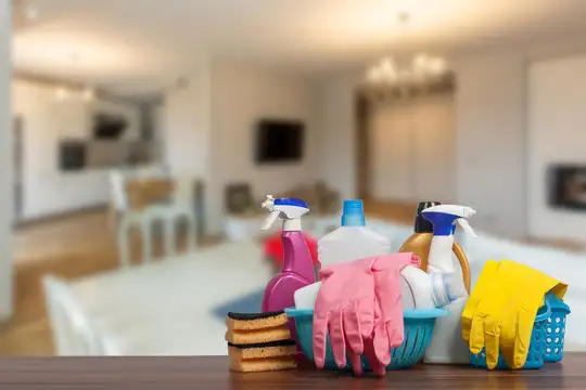 Helping Winnipeggers : Your Trusted Cleaning Service in Winnipeg62863247082369121