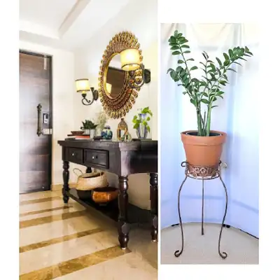 ZZ PLANT + STAND, View more