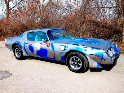 1979 Pontiac Trans Am Survivor Out of 30 year storage ! Turn-key ready to drive More info contact
