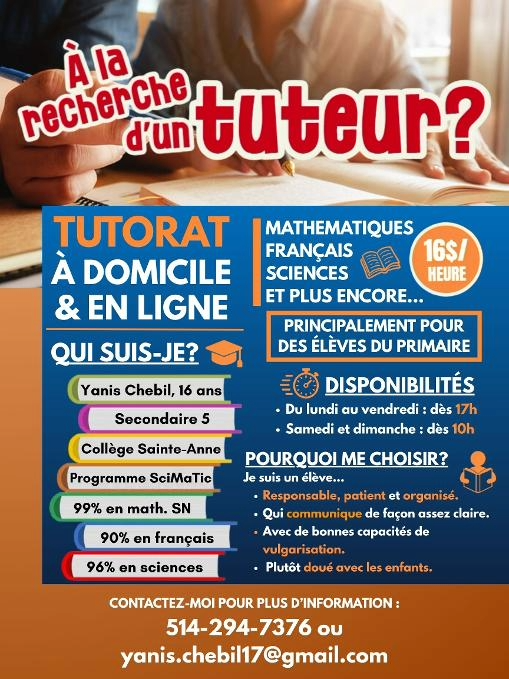 Tutoring Offer for Elementary School Students
