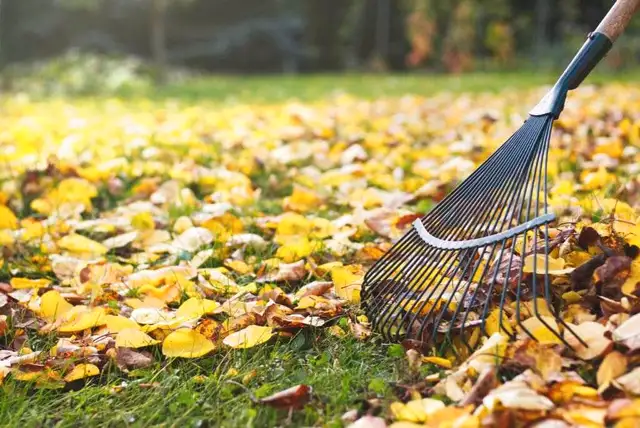 fall clean up leaf raker available anytime 63860085716737120