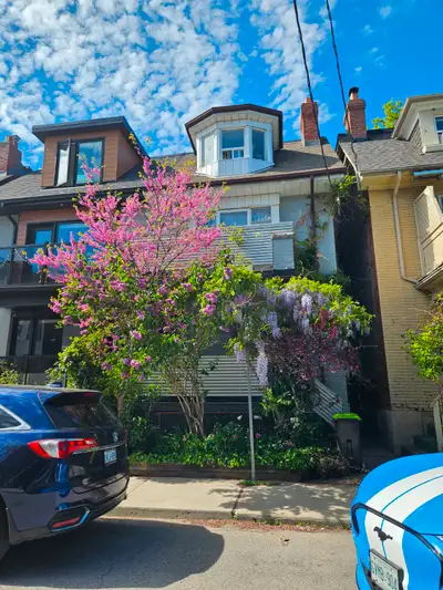 Share house in Little Italy