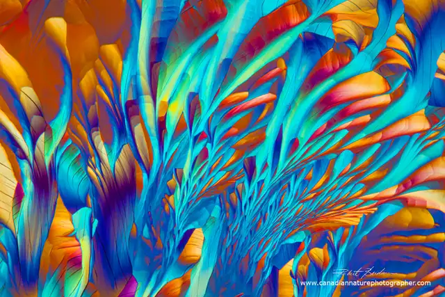 Nikon Optiphot Polarizing Microscope in Other in Calgary - Image 7