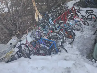 Bicycles Tricycles Vintage and Modern Pedal Bikes, View more