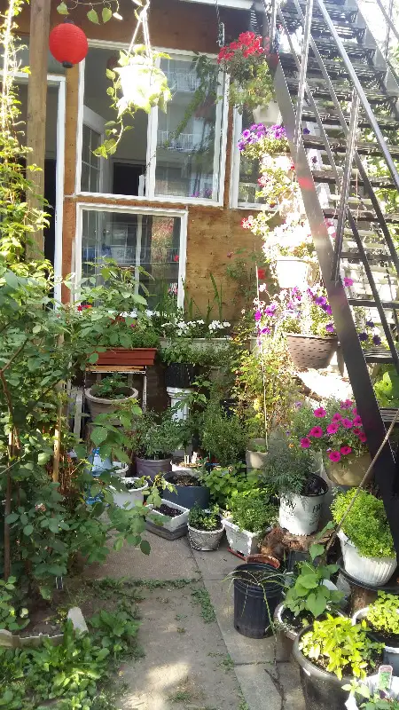 Photo 11