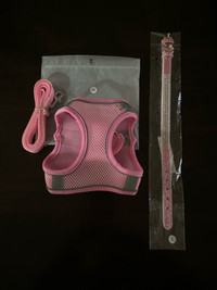 Collar, harness and leash