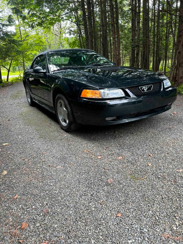 Ford mustang 2000 dans Autos et camions  à Sherbrooke