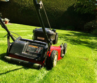 Lawn cutting and or lawn aeration