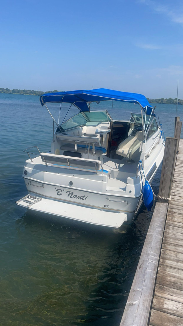 1991 Campion Victoria  in Powerboats & Motorboats in St. Catharines - Image 2