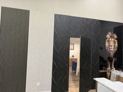 General contractor ( basement development and renovation) , View more