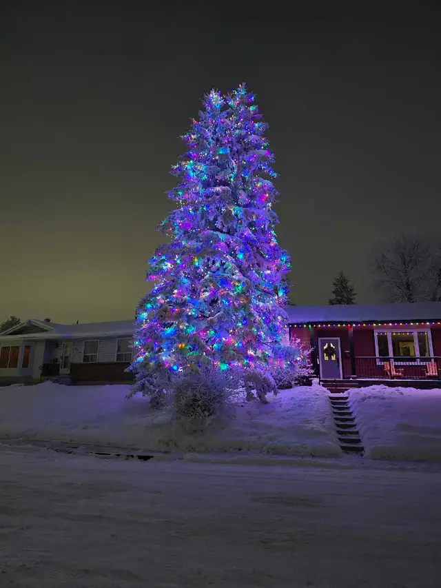 Christmas Light Installers Wanted in General Labour in Calgary - Image 8