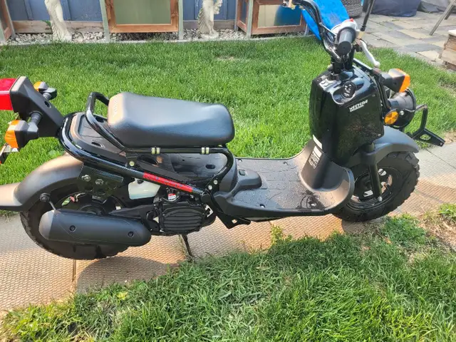 2020 Honda Ruckus Stock in Scooters & Pocket Bikes in Winnipeg - Image 2